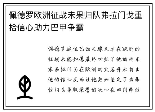 佩德罗欧洲征战未果归队弗拉门戈重拾信心助力巴甲争霸 佩德罗欧洲征战未果归队弗拉门戈重拾信心助力巴甲争霸